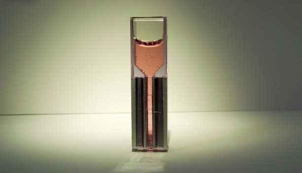 化学和生物技术实验室样品，分离。图片下载