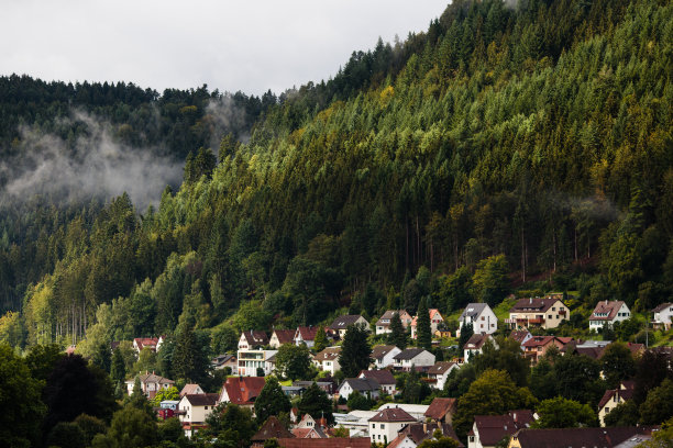 施瓦茨瓦尔德的一个德国村庄图片下载