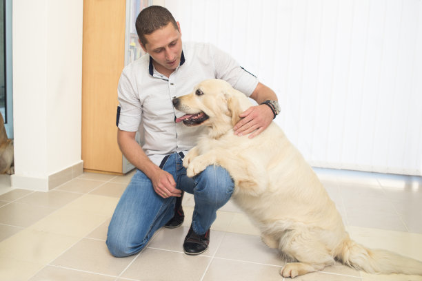 快乐的主人和他的金毛寻回犬图片下载