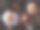 白色日本杏子，盛开的mesne图片下载