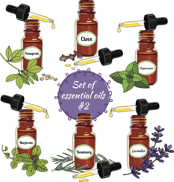 向量精油集6图片下载