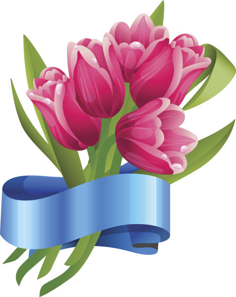 一束带着问候丝带的郁金香图片下载