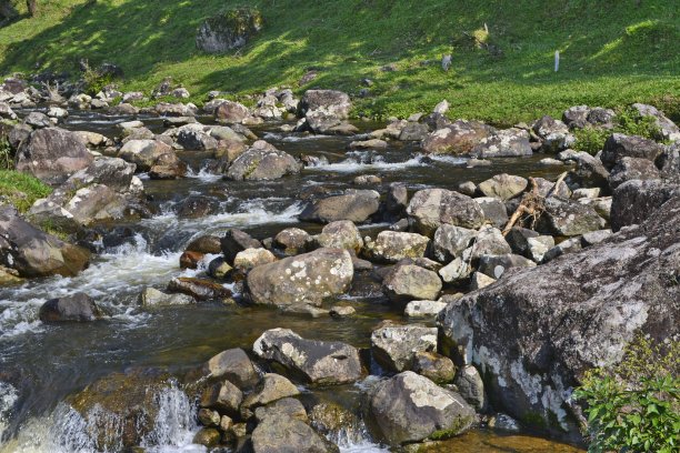 干净的水河图片下载