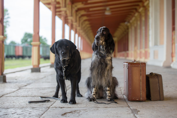 在火车站图片下载