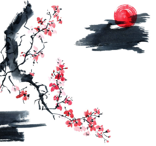 小樱。花树插图。图片下载