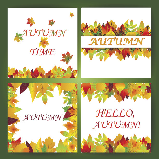 白色的空白与枫叶的秋天背景。图片下载