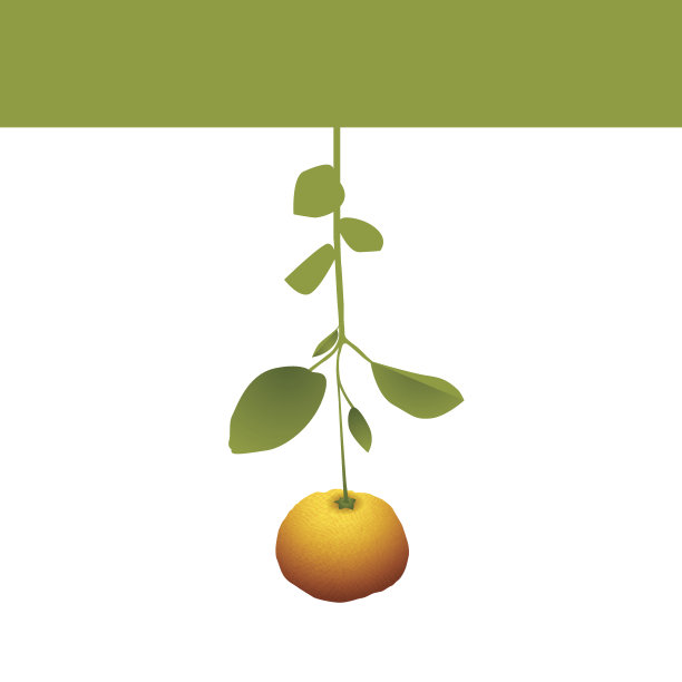 vitaminka网页设计图片下载