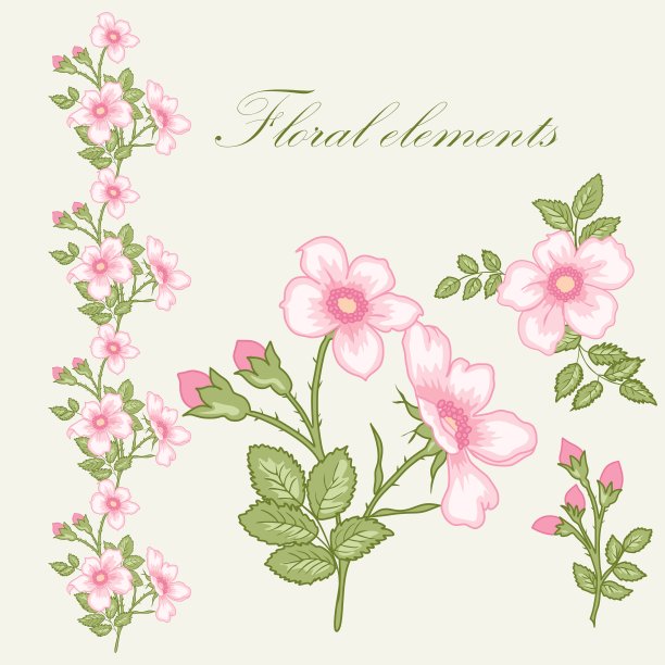 花卉元素图片下载