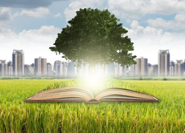 从旧书中生长的树在草地和城市风景图片下载