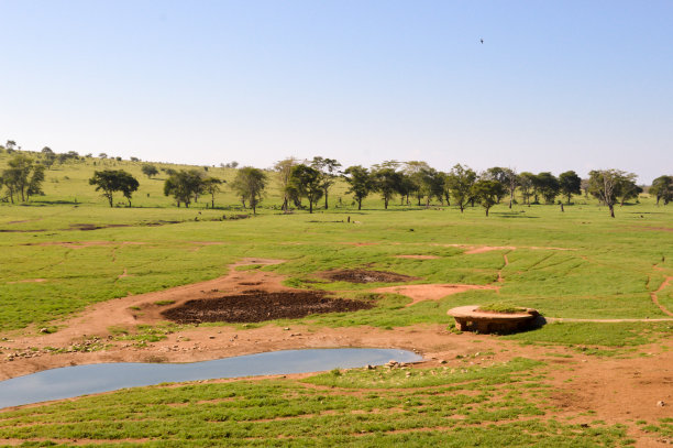 察沃东部大草原图片下载