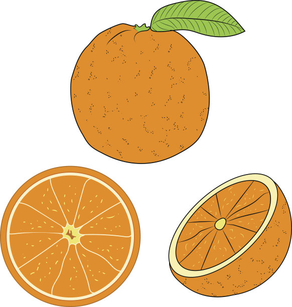 矢量橙色，橙色切片矢量插图图片下载