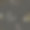 蝴蝶无缝06黑图片下载
