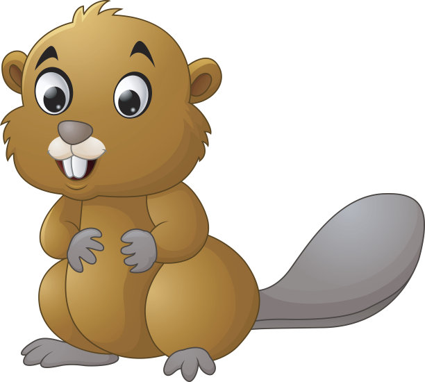 卡通海狸在白色的背景图片下载