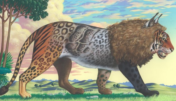 有着各种各样身体图案的野猫图片下载