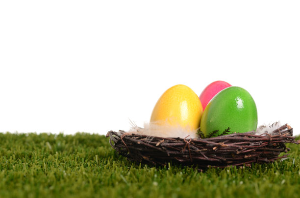 把复活节彩蛋放在一窝羽毛里图片下载