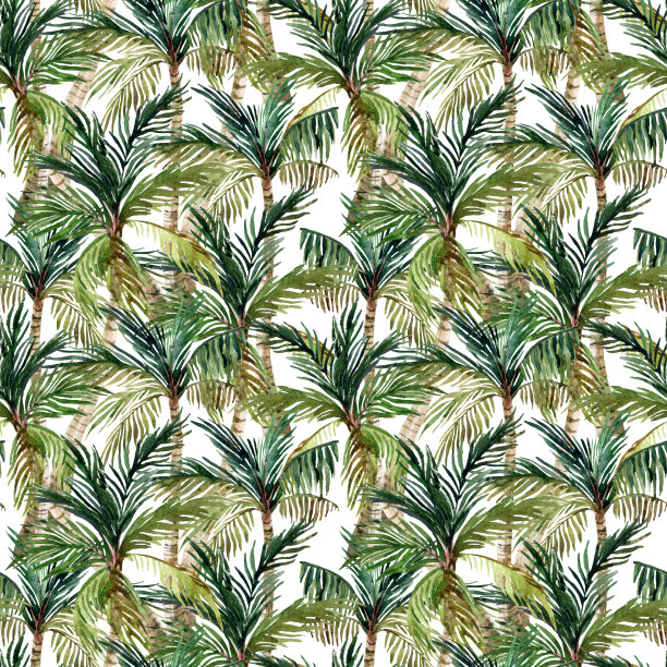 水彩棕榈树无缝图案图片下载