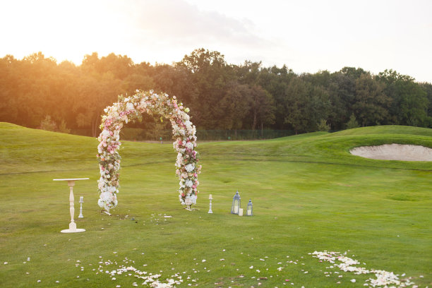 绿色的田野上的花拱图片下载
