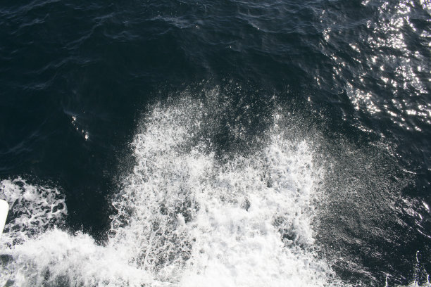 伊斯坦布尔博斯普鲁斯海峡的泡沫和波浪图片下载