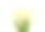孤立在白色背景上的洋甘菊。没有影子图片下载