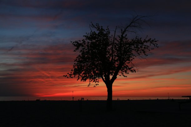 《暮光之城》的轮廓图片下载
