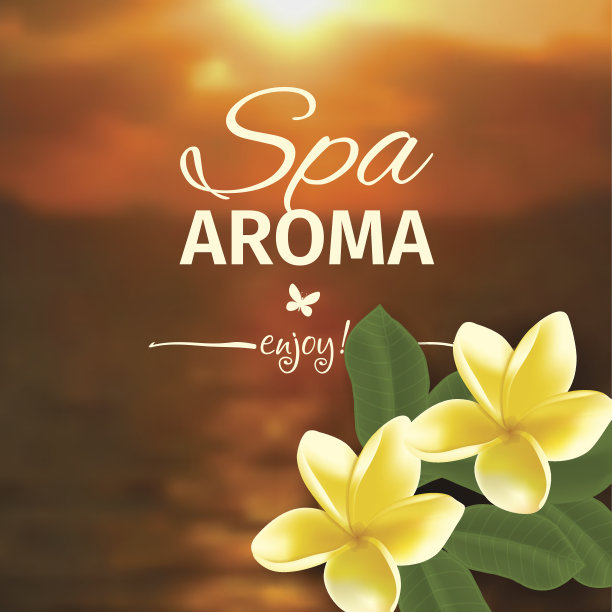 水疗概念与模糊的海边背景和现实向量鸡蛋花图片下载