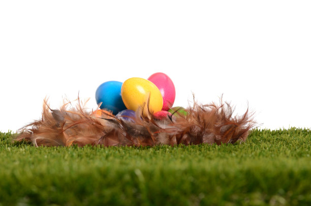 把复活节彩蛋放在一窝羽毛里图片下载