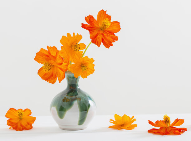 静物与花科斯梅亚图片下载