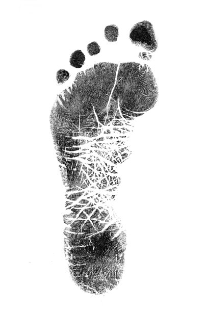 黑色的足迹。孤立在白色的。图片下载