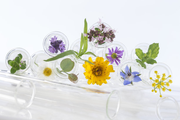 试管中的花孤立在白色上图片下载