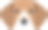 比格犬孤立在白色背景矢量插图图片下载