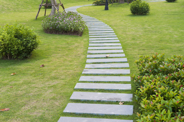 花岗石径上的屏风草图片下载