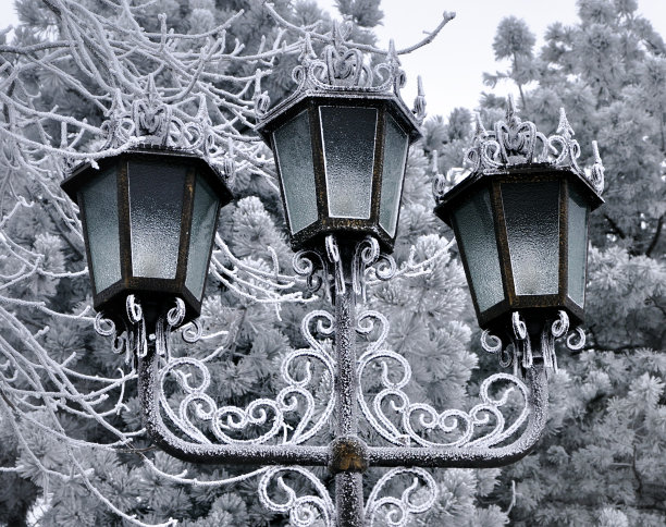 冬天的路灯图片下载