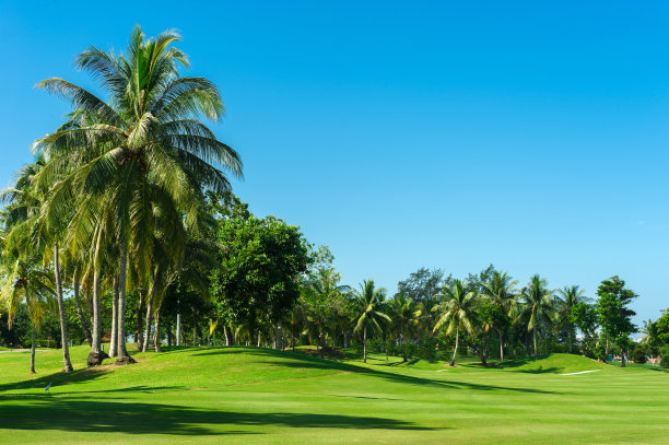 高尔夫球场的景观图片下载