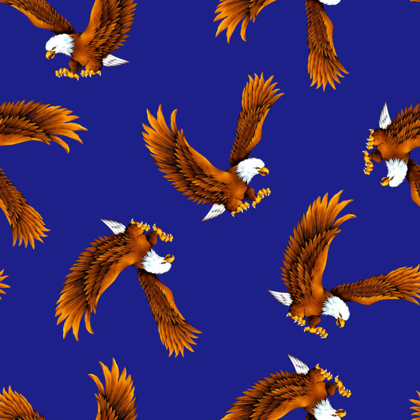 鹰模式图片下载