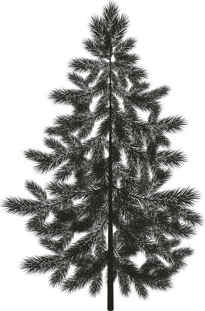 圣诞云杉冷杉树剪影素材图片