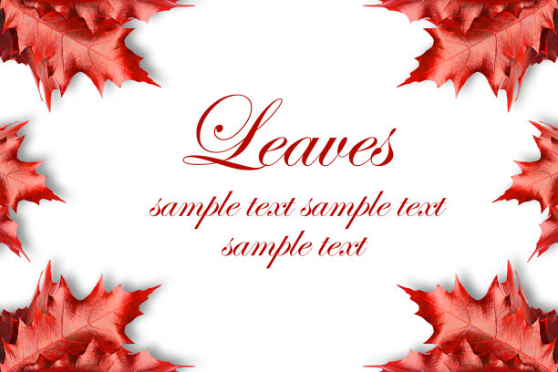 秋天波尔多的叶子图片下载