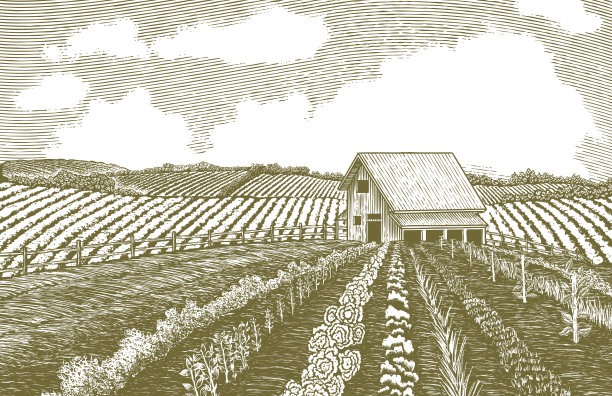 木刻花园图片下载