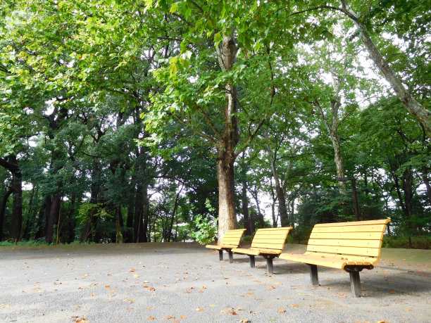 早上操场上的长椅图片下载