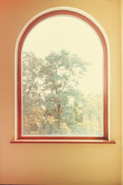 有树的窗户和黄色的墙壁图片下载