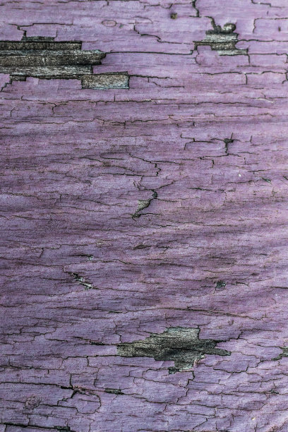 凿油漆图片下载