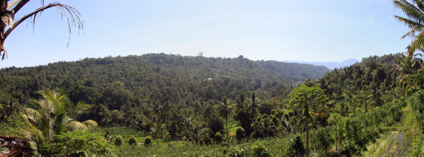 巴厘岛山坡的全景图片下载