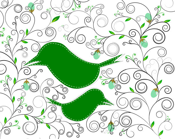 抽象的鸟和花在白色的背景上图片下载