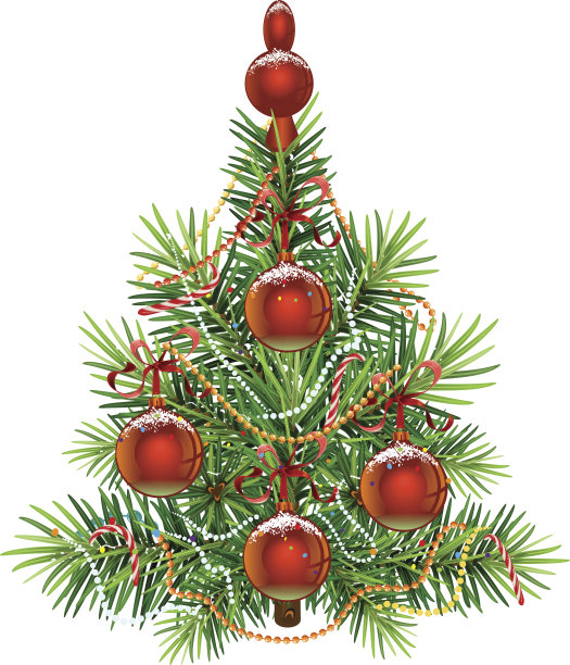 装饰绿色圣诞冷杉树图片下载