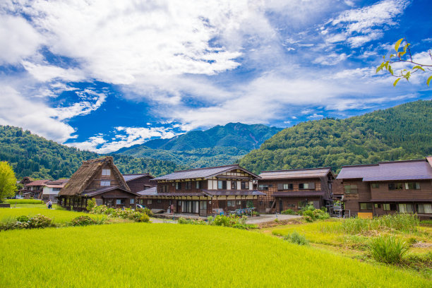 双手合十祈祷图片下载