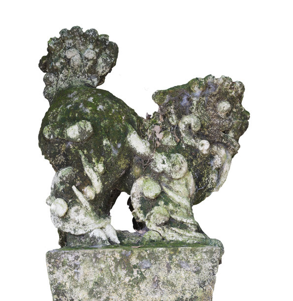 越南庙宇的石雕守护狮子雕像，孤立在白色背景上图片下载