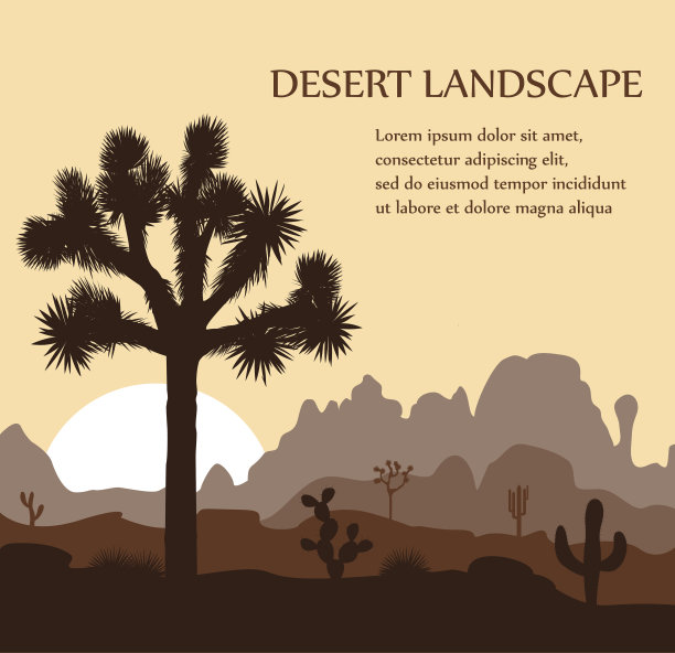 早晨的风景与约书亚树和山在日出。图片下载