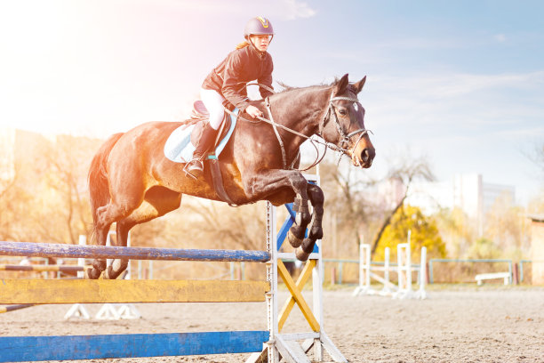 年轻女子骑着枣红色马跳过障碍图片下载