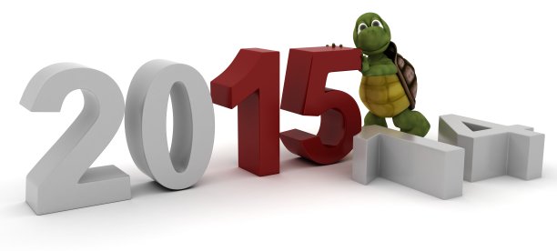 乌龟迎接新年图片下载