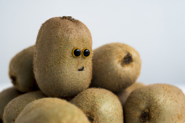 几维鸟的笑脸图片下载