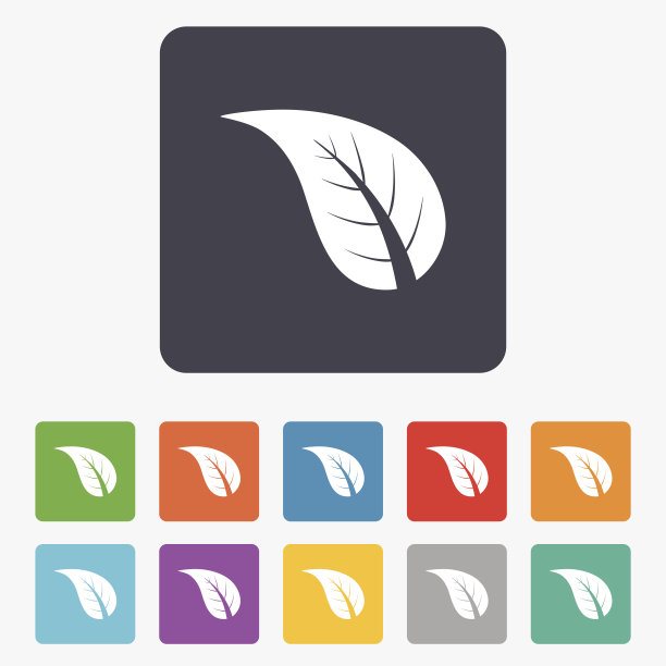 叶标志图标。新产品的象征。图片下载